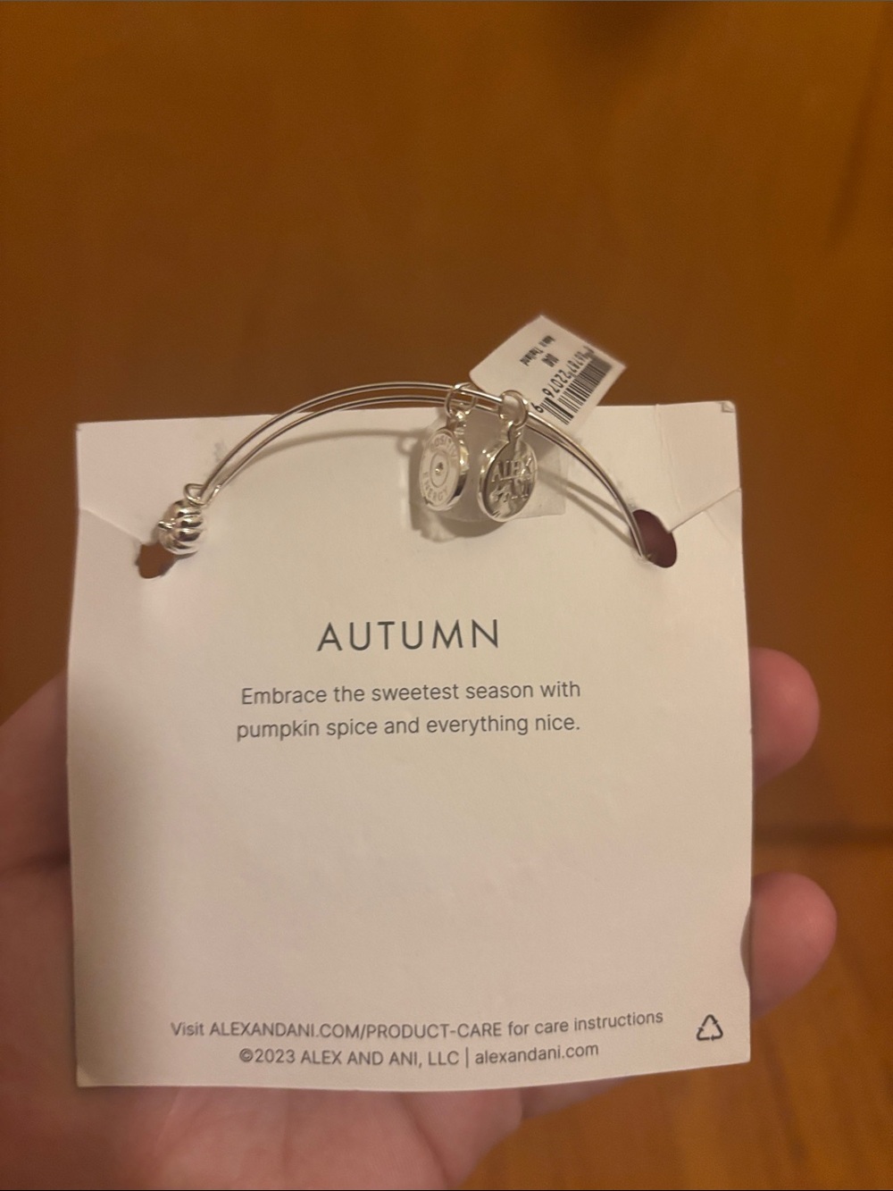 Alex and Ani Silver Pumpkin and Crystal Beaded Bracelet NWT - Picture 3 of 6